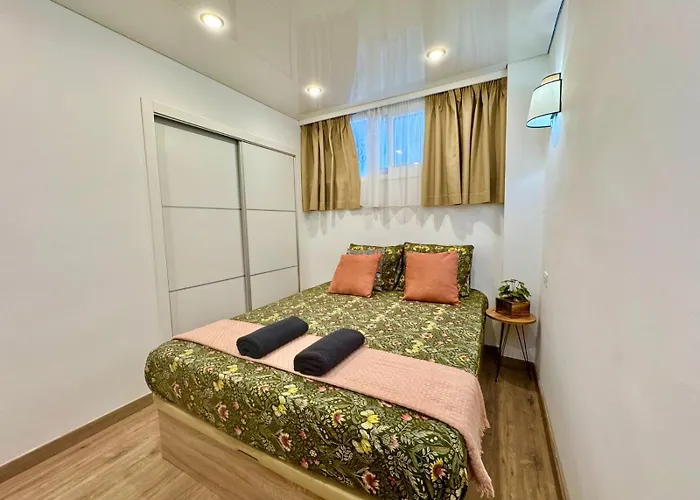 Bluebird Luxury In Americas