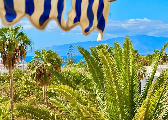 Bluebird Luxury In Americas *